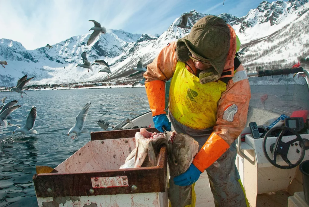Salmon Fishing