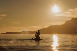 Midnight Sun