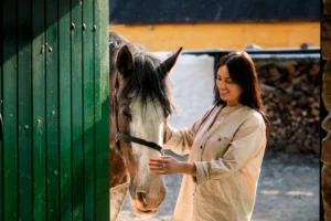 Muckross Farms