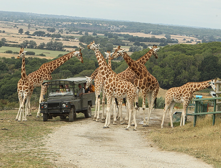 Port Lympne Reserve